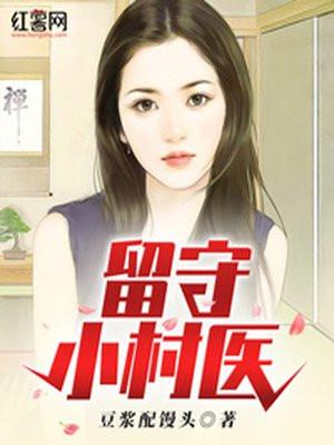 留守小村医讲的什么
