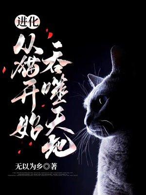 从小猫开始进化