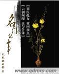 名门记事全文免费阅读