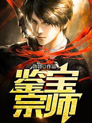 鉴宝宗师王珂免费阅读全文
