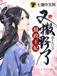 摄政王妃又撒野了番外篇