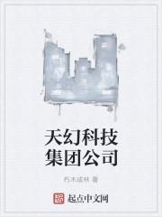 天幻科技集团公司简介