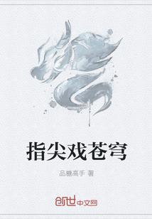 指尖苍穹是什么服务项目