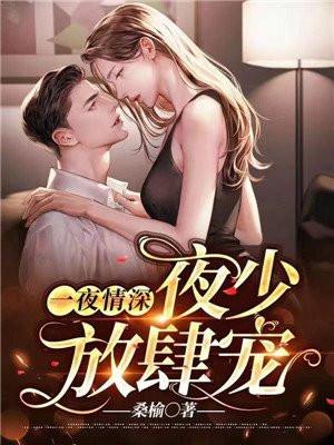 一夜情深夜少放肆宠第几章男女主圆房