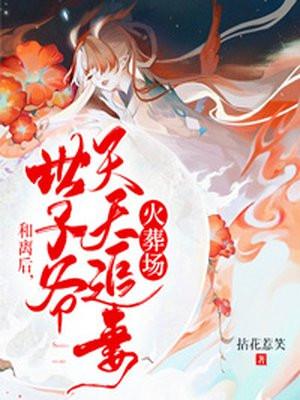 和离后世子爷天天追妻火葬场书评