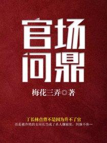 内部游戏丁长林无弹窗免费全文阅读