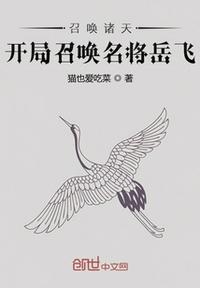 召唤诸天开局召唤名将岳飞全文阅读