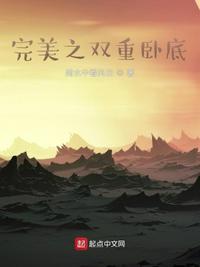 完美之双重卧底零点读书