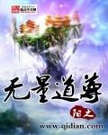 主角是太初无量道尊