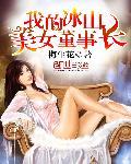我的冰山美女董事长杨磊肖云