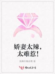 太难惹免费阅读
