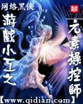 游戏小工之元素操控师 第501章
