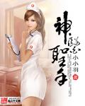 神医圣手抱枕子