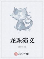龙珠演义 翼赤火全本