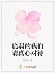 脆弱的情感是什么歌
