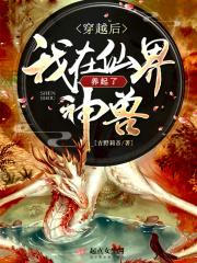 穿越后我成了仙界宠儿