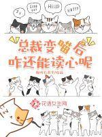 总裁变成猫的漫画