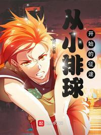 从小排球开始的征途简介