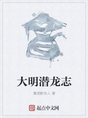 大明潜水泵质量怎么样?