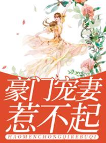 豪门宠妻惹不起简介