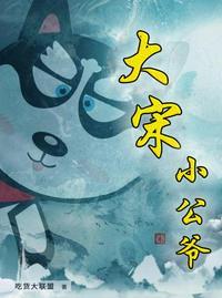 大宋小公爷双儿