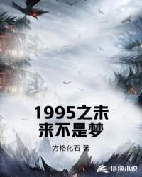 1995年未来之路