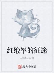 红缎军的征途评论