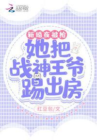 新婚夜被抢我把战神王爷踢出宫殿