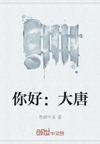 你好大唐 写本书自己看