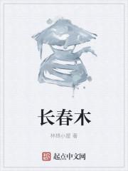 长春胺缓释胶囊