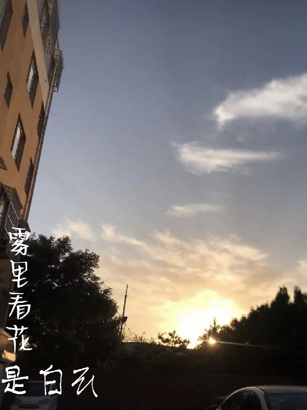 雾里看花造句
