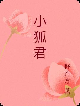 小狐君狐小玖的名字