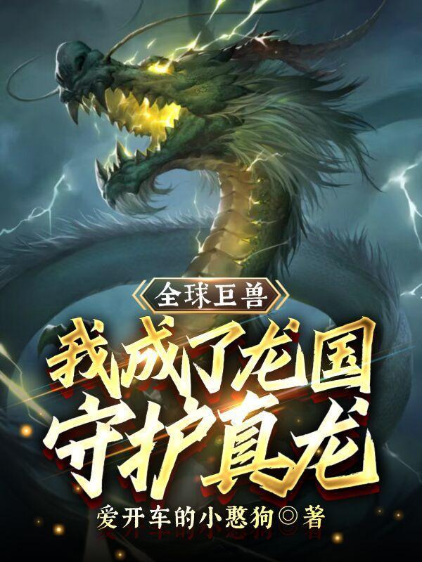 变成龙守护国家的