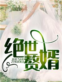 至尊神婿叶昊免费完结版