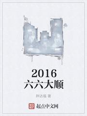 大益2016年六六大顺