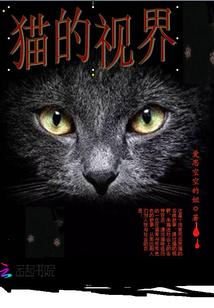 猫哥的视界 作者介绍