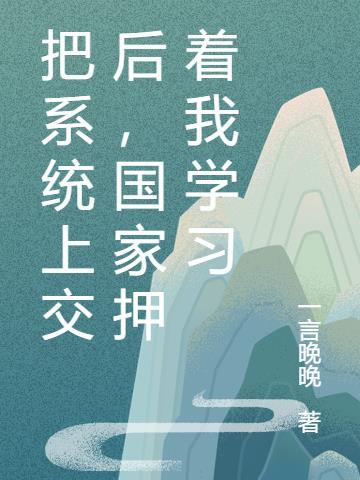 我要把系统交给国家