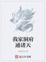 我洞府是什么