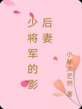 少将影帝要离婚txt