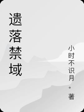 遗落战境有后续吗