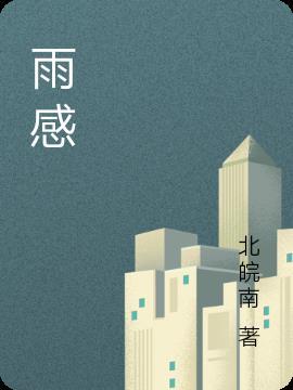 雨感安装教程