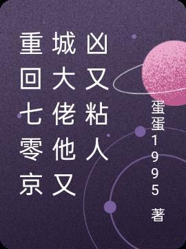 重生七零回城以后