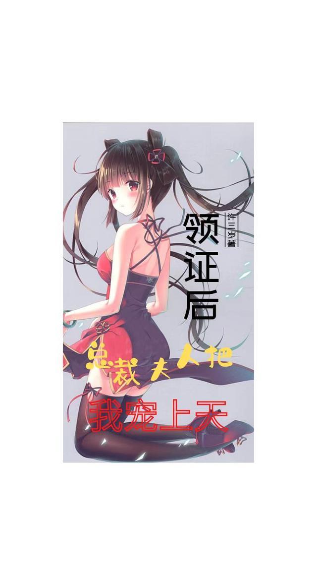 总裁夫人宠上天的视频