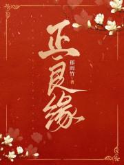 正良缘免费无弹窗