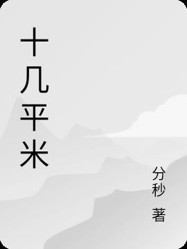 十几个平米