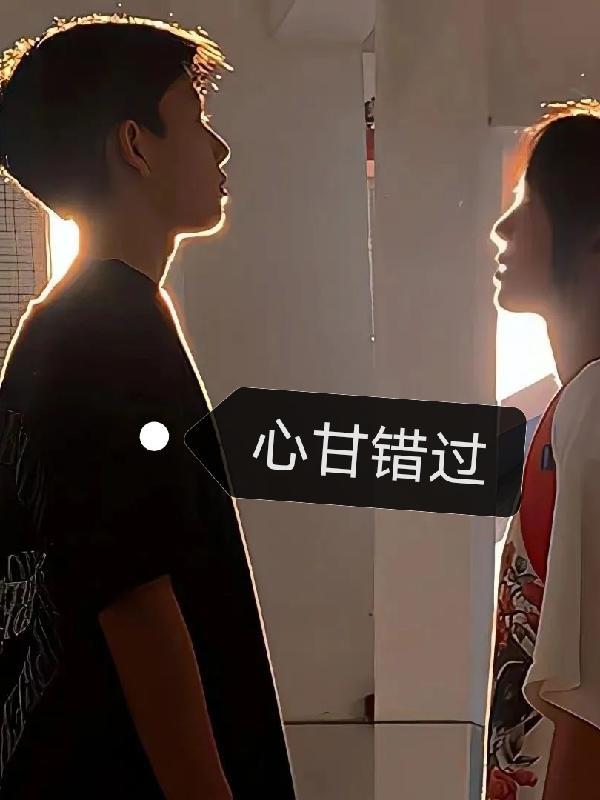 甘心去错mp3