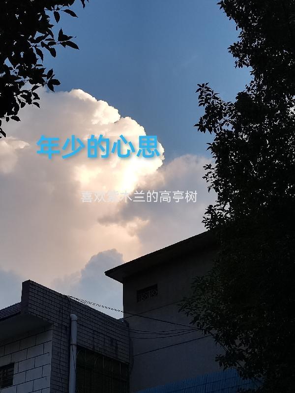 年少的心是什么意思