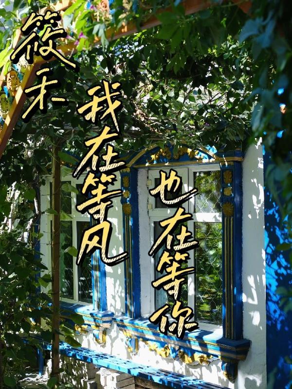 我在等风我也在等你