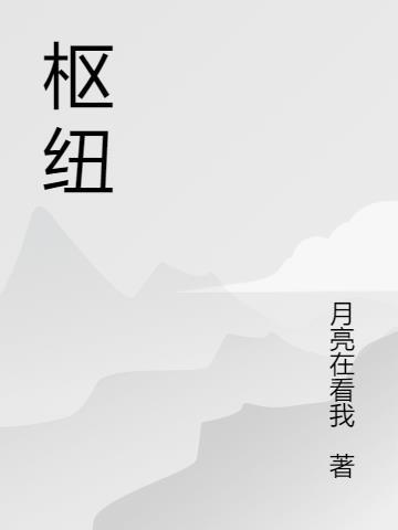 枢纽怎么读