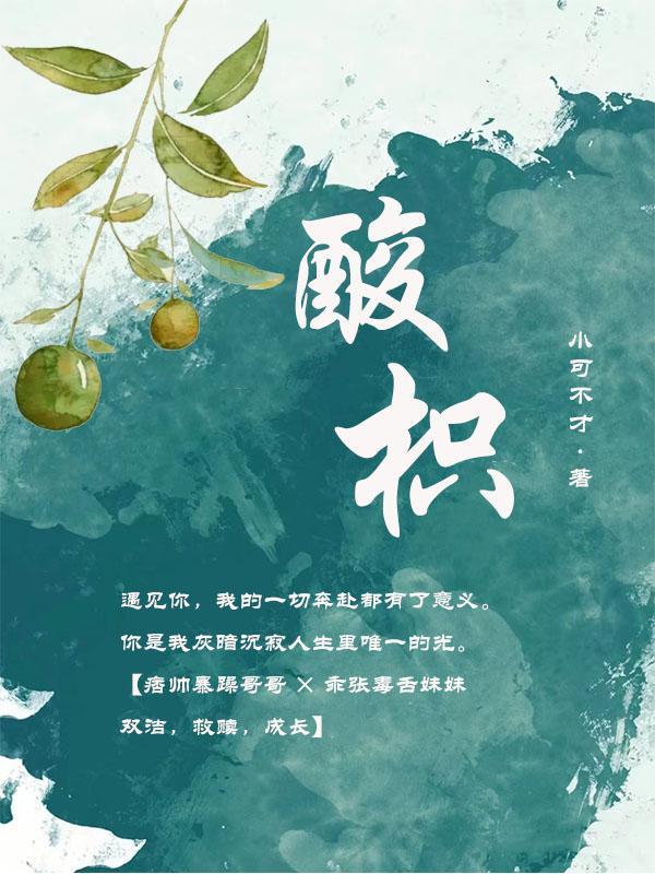 酸枳TXT